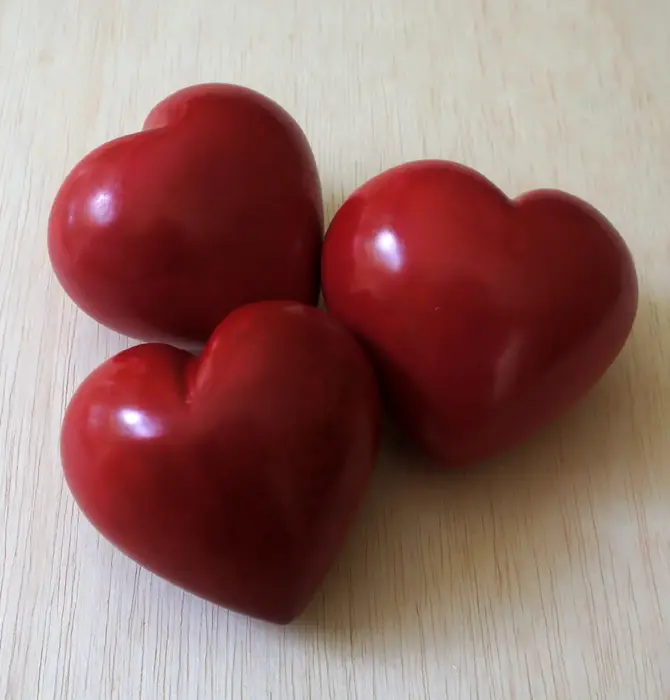 Paperweight | Large Heart | Red Soapstone
