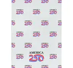 Tea Towel | Logo | America 250™