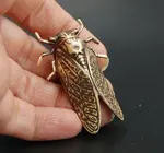 Brooch Pin | Cicada