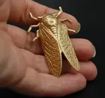 Brooch Pin | Cicada