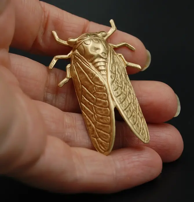 Brooch Pin | Cicada