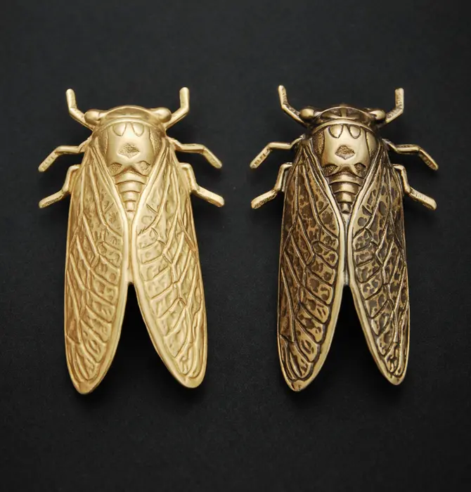 Brooch Pin | Cicada