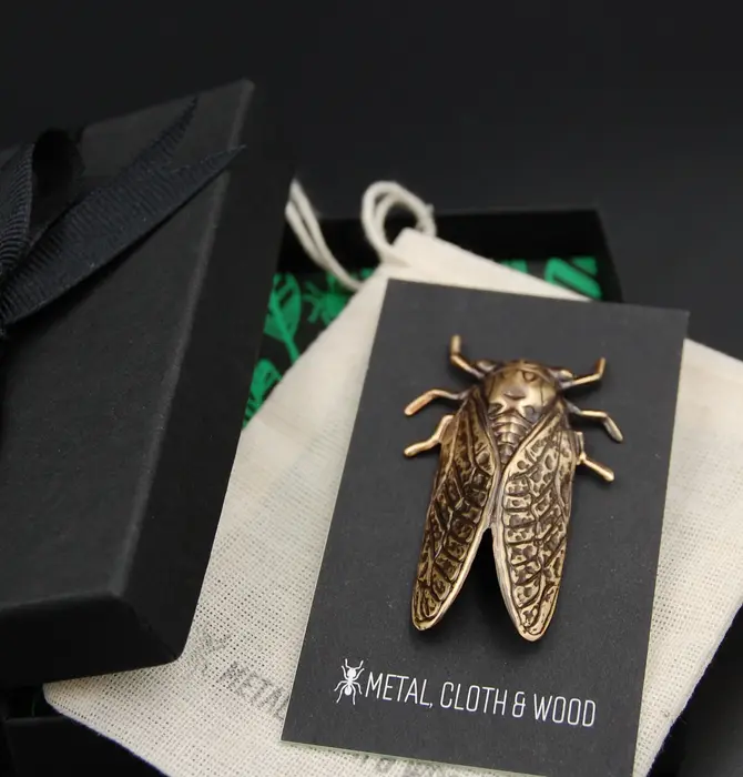 Brooch Pin | Cicada