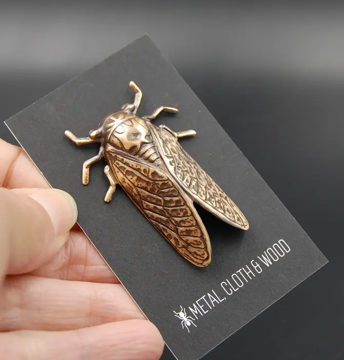 Brooch Pin | Cicada