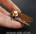 Brooch Pin | Cicada