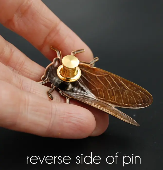Brooch Pin | Cicada