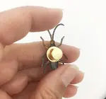 Brooch Pin | Longhorn Beetle