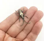 Brooch Pin | Longhorn Beetle