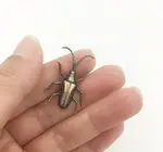 Brooch Pin | Longhorn Beetle