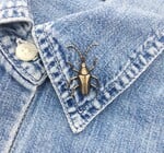 Brooch Pin | Longhorn Beetle