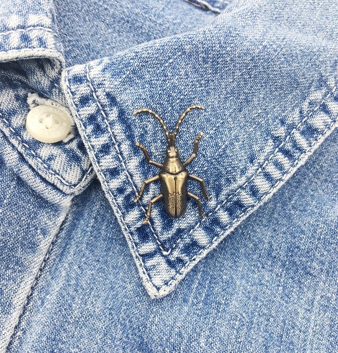 Brooch Pin | Longhorn Beetle