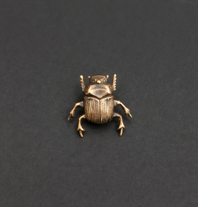 Brooch Pin | Scarab Beetle