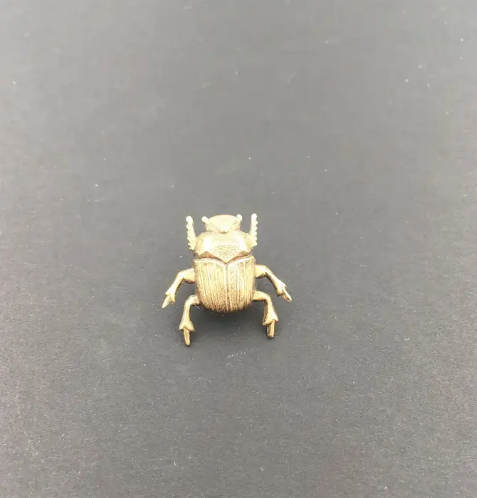 Brooch Pin | Scarab Beetle
