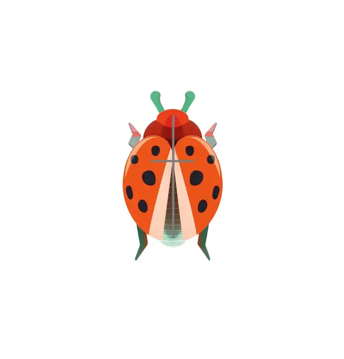 3D Insect Puzzle | Small Beetle