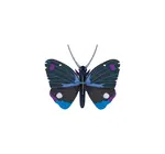 3D Insect Puzzle | Small Butterfly