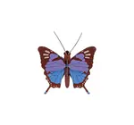 3D Insect Puzzle | Small Butterfly