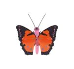 3D Insect Puzzle | Small Butterfly