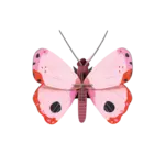 3D Insect Puzzle | Small Butterfly