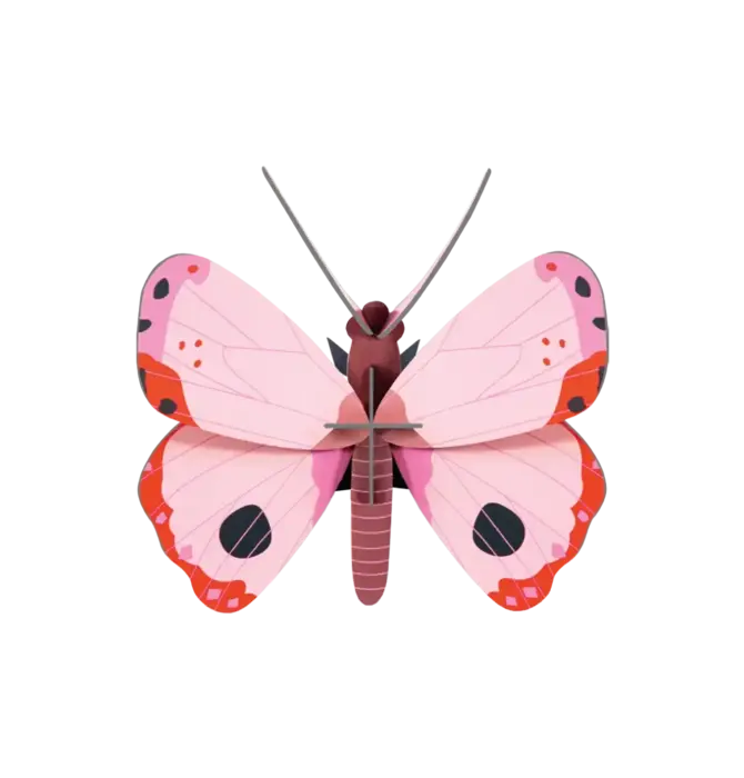 3D Insect Puzzle | Small Butterfly