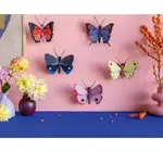 3D Insect Puzzle | Small Butterfly