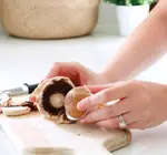 Tool | Mushroom Brush | Fun Guy