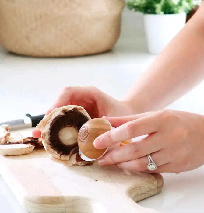 Tool | Mushroom Brush | Fun Guy