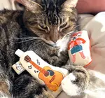 Cat Toy | Crinkle Catnip | Country Music