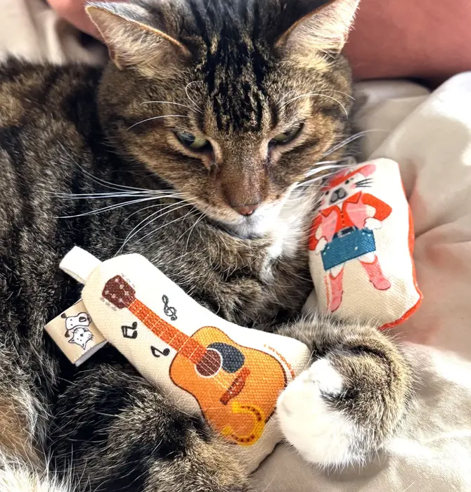 Cat Toy | Crinkle Catnip | Country Music