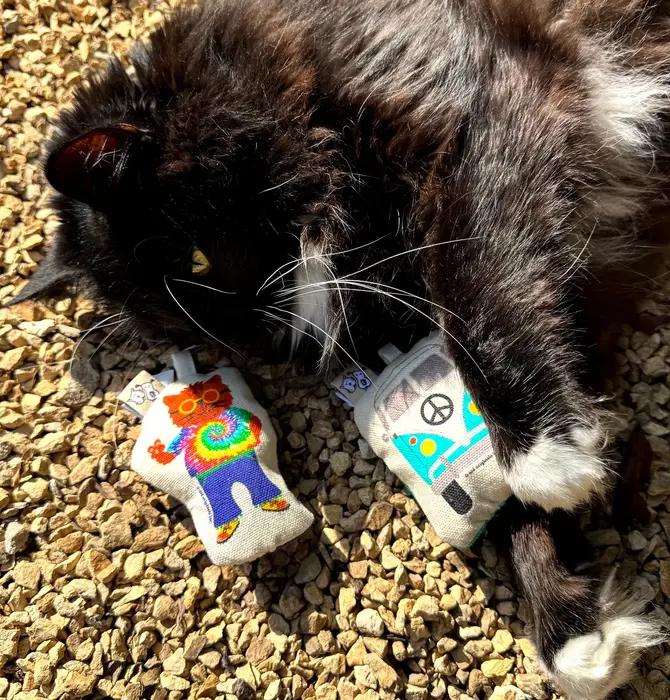 Cat Toy | Crinkle Catnip | Flower-Power