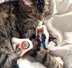 Cat Toy | Crinkle Catnip | Easy Rider