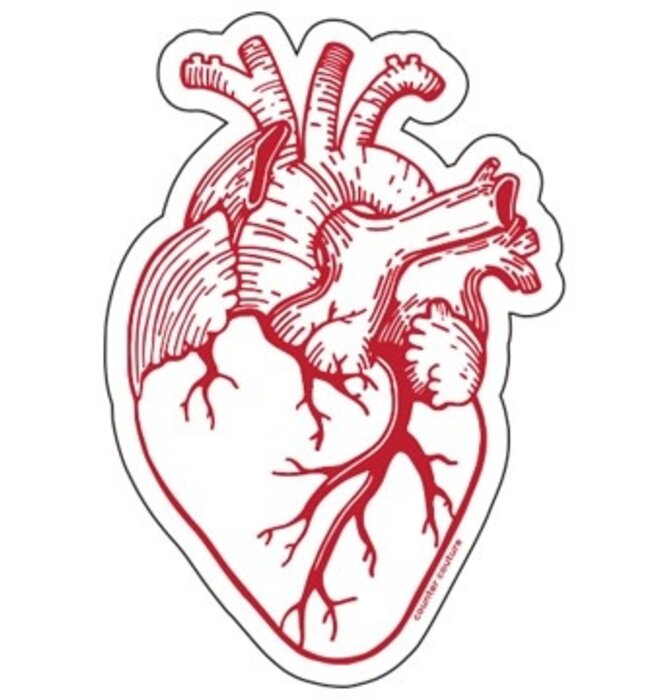 Sticker | Anatomical Heart