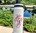 Sticker | Anatomical Heart