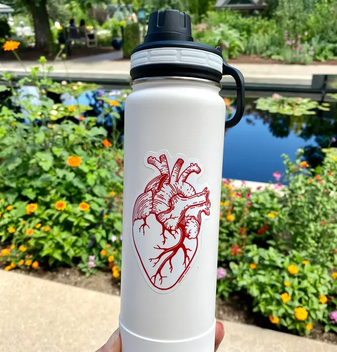 Sticker | Anatomical Heart