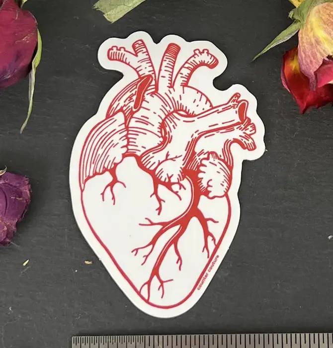 Sticker | Anatomical Heart