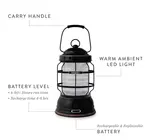 Lantern | Forest | 3 Colors