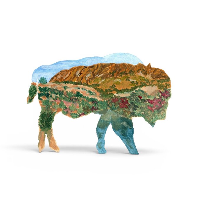 Art Print | 8x10 | Bison Outline/Wichita Mountains (Watercolor)