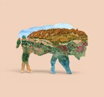 Art Print | 8x10 | Bison Outline/Wichita Mountains (Watercolor)