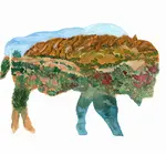 Art Print | 8x10 | Bison Outline/Wichita Mountains (Watercolor)