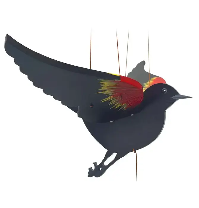 Mobile | Flying | Red Winged Black Bird