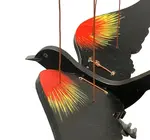 Mobile | Flying | Red Winged Black Bird