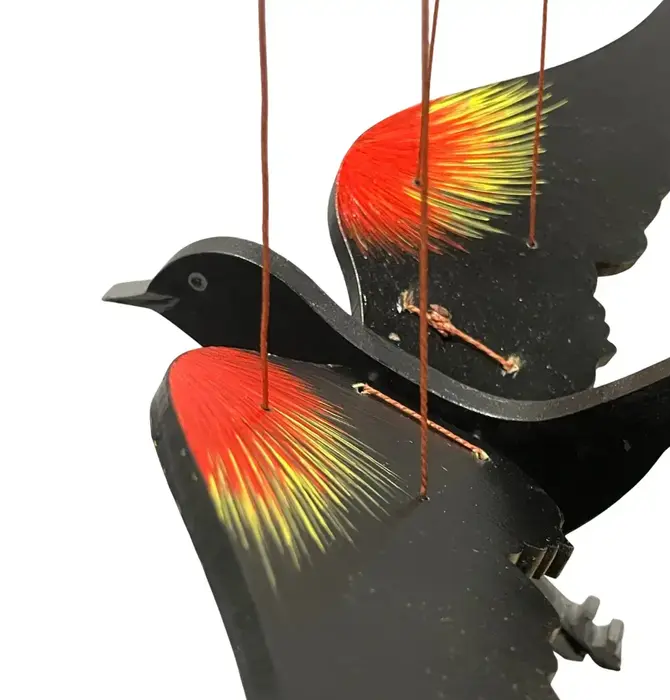 Mobile | Flying | Red Winged Black Bird