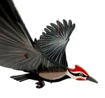 Mobile | Flying | Woodpecker