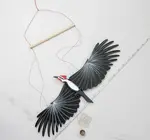 Mobile | Flying | Woodpecker