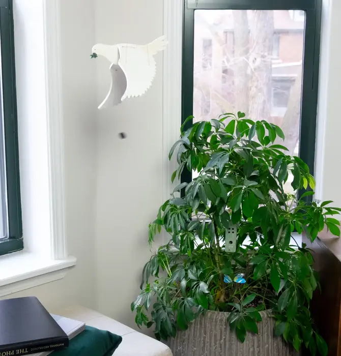 Mobile | Flying | Peace Dove