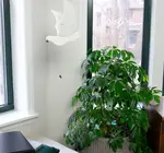 Mobile | Flying | Peace Dove