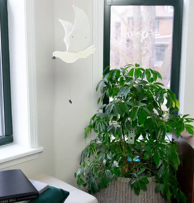 Mobile | Flying | Peace Dove