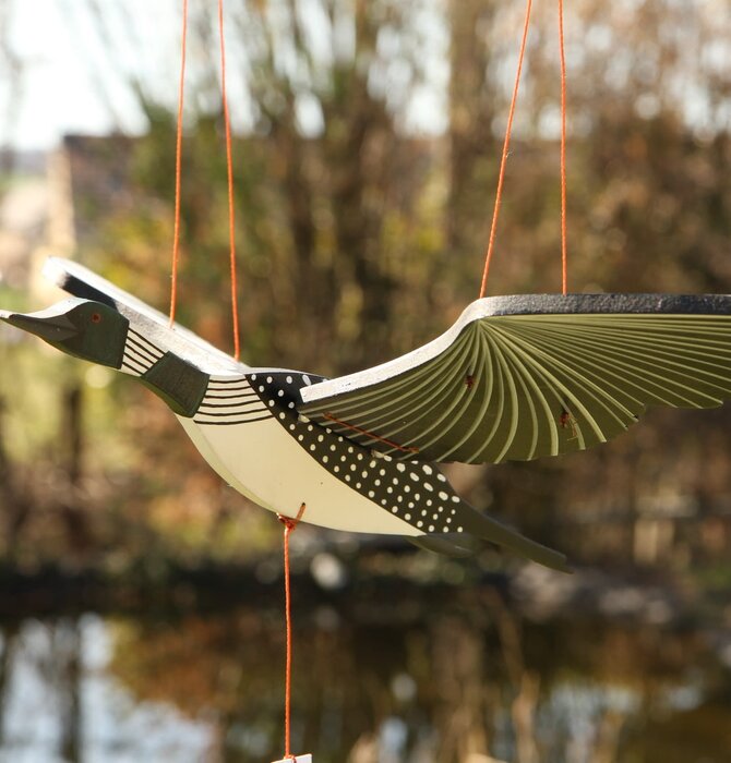 Mobile | Flying | Loon