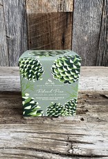 Soap & Paper Roland Pine 9.5oz Large Soy Candle