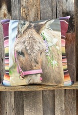Totem Salvaged Pink Halter Donkey with Vintage Serape P-576