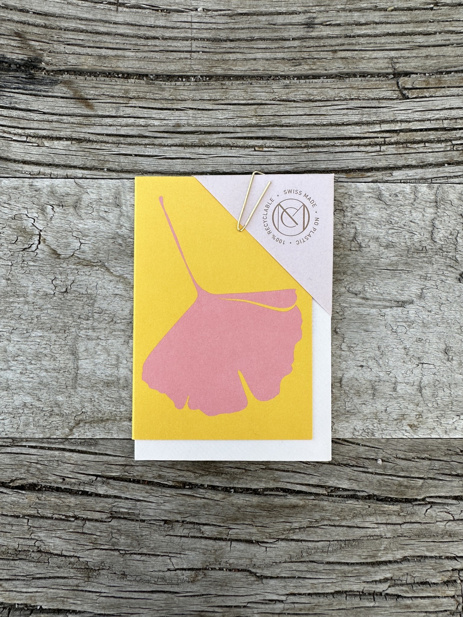 Ginkgo Mini Note Cards, Set of 8 – Gump's